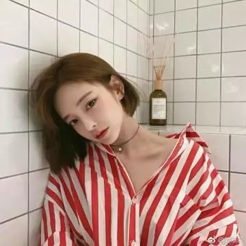 蔷薇风暴